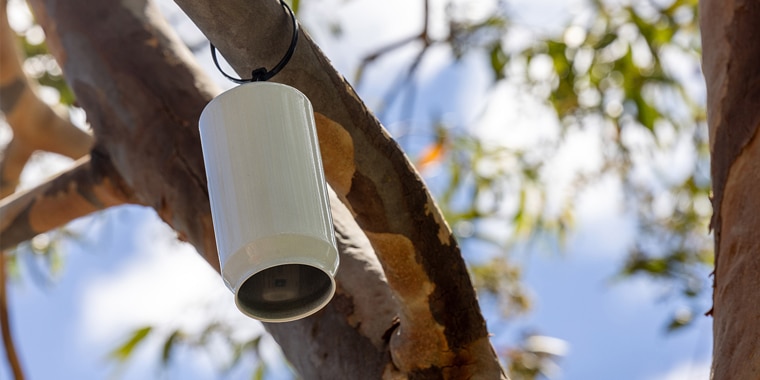 TREES ARE THE ULTIMATE RENEWABLE