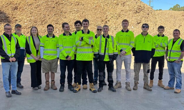 THE RISE OF YOUNG TIMBER TALENT