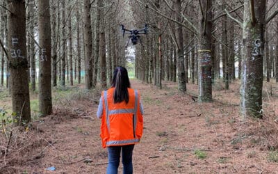 10 YEARS OF RESEARCH IN FORESTRY