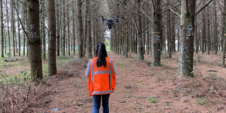 10 YEARS OF RESEARCH IN FORESTRY