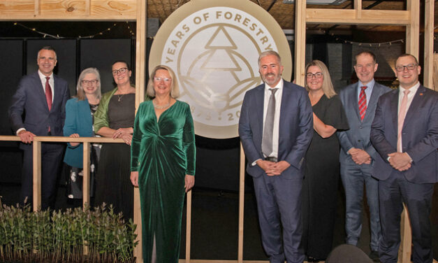 150 YEARS OF SA FORESTS
