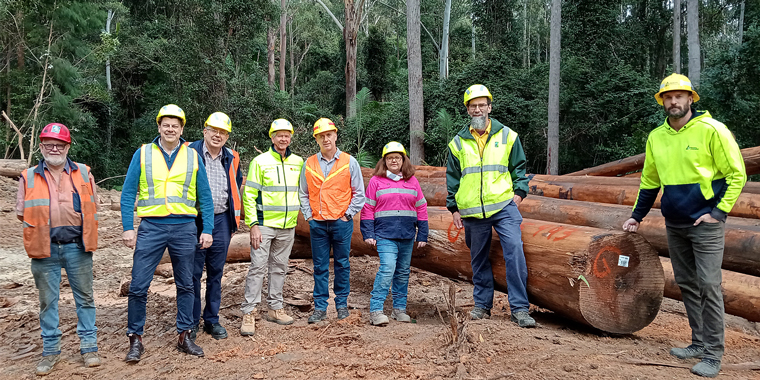 HERITAGE TIMBER AND SUSTAINABILITY COLLIDE