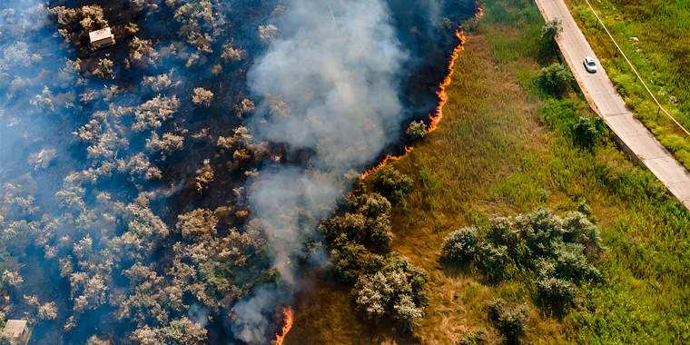 Protect Plantations From Wildfire Risks