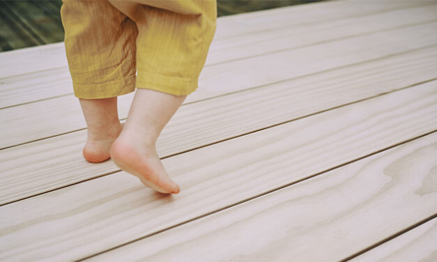 A versatile range of timbers