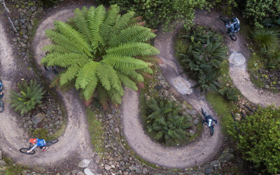 WHERE FORESTRY MEETS LEISURE