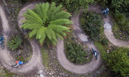 WHERE FORESTRY MEETS LEISURE