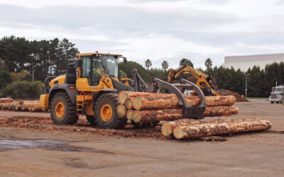 CELEBRATING TIMBER SUPPLY MILESTONES