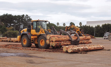 CELEBRATING TIMBER SUPPLY MILESTONES