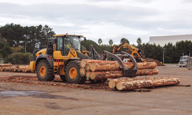 CELEBRATING TIMBER SUPPLY MILESTONES