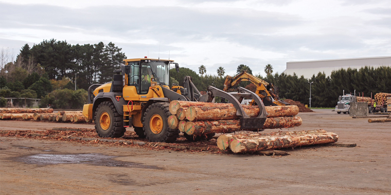 CELEBRATING TIMBER SUPPLY MILESTONES