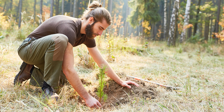 PROJECT CALLS FOR MORE FORESTRY