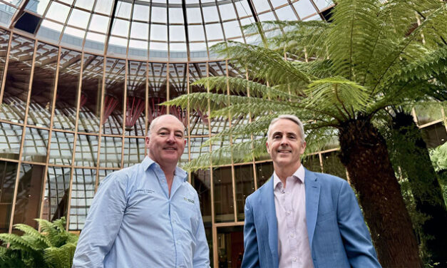 FORESTS IN THE CLASSROOM