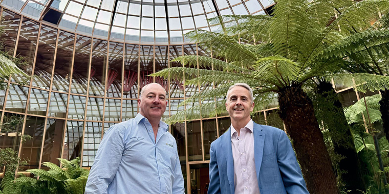 FORESTS IN THE CLASSROOM