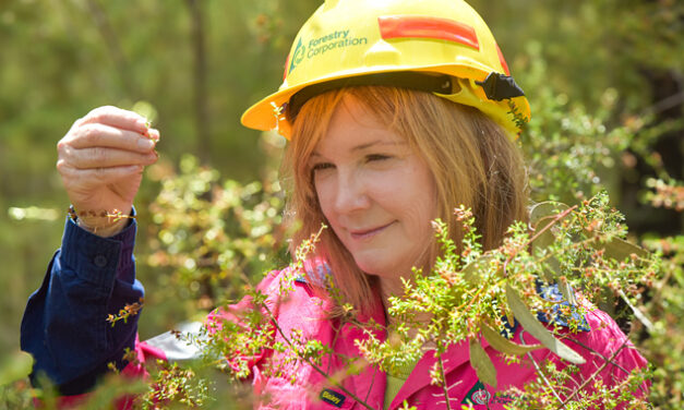 PROTECTING THE FOREST
