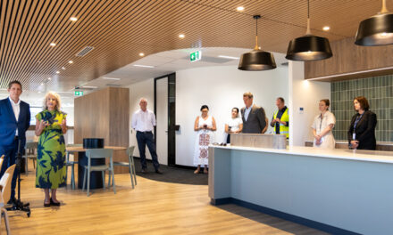 THE WARMTH OF TIMBER INTERIORS