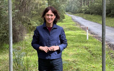 Victoria forestry transition: Mixed results, growing concerns