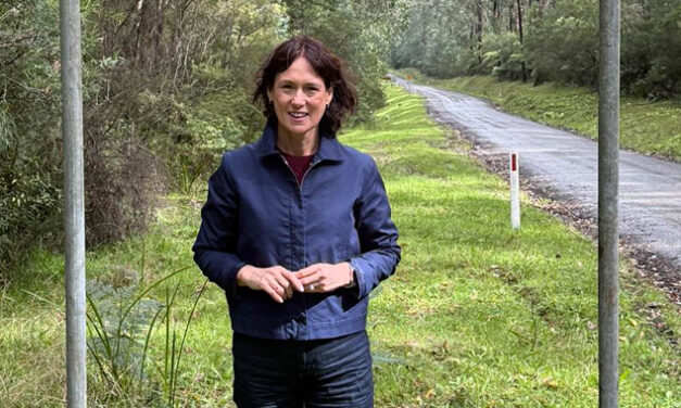 Victoria forestry transition: Mixed results, growing concerns