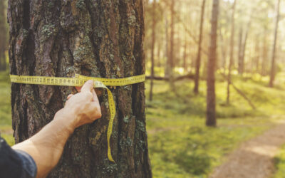 NATIVE FORESTRY BALANCES PEOPLE, PLANET, PROSPERITY
