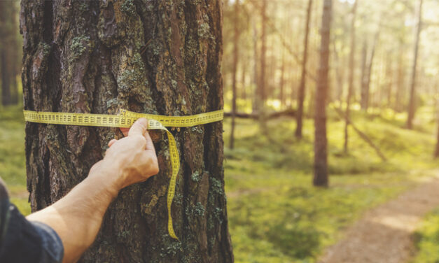 NATIVE FORESTRY BALANCES PEOPLE, PLANET, PROSPERITY