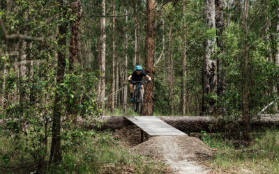 Local councils back forestry future