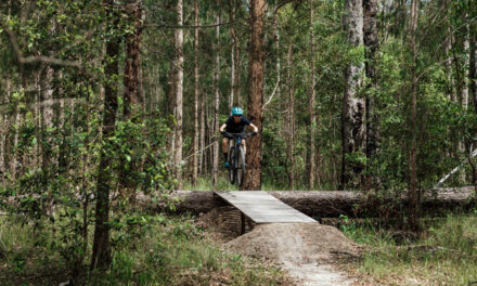 Local councils back forestry future