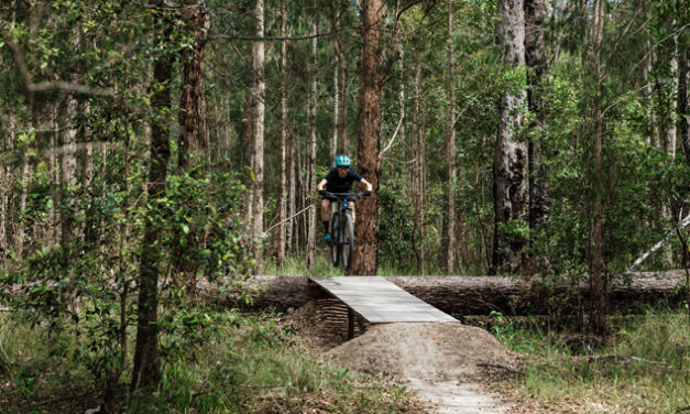 Local councils back forestry future