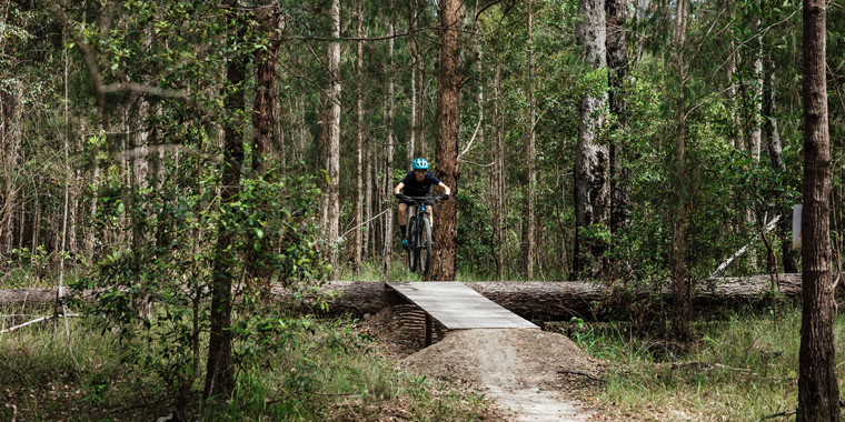 Local councils back forestry future