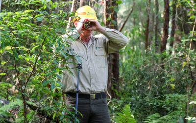 BUILDING A DIGITAL TWIN FOR FORESTRY