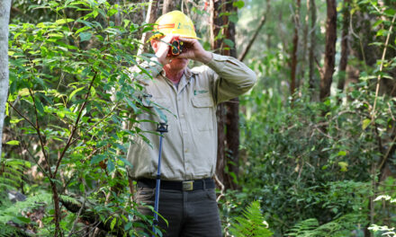 BUILDING A DIGITAL TWIN FOR FORESTRY