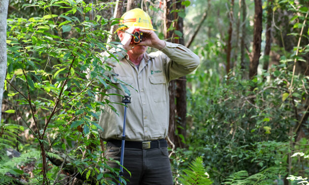 BUILDING A DIGITAL TWIN FOR FORESTRY