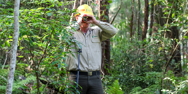 BUILDING A DIGITAL TWIN FOR FORESTRY