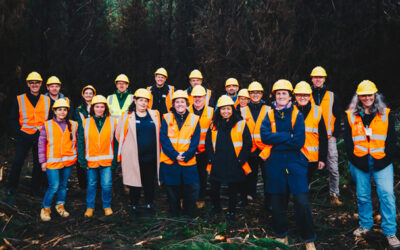 Behind the FSC® forestry label