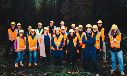 Behind the FSC® forestry label