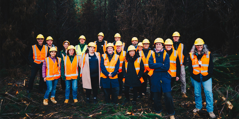 Behind the FSC® forestry label