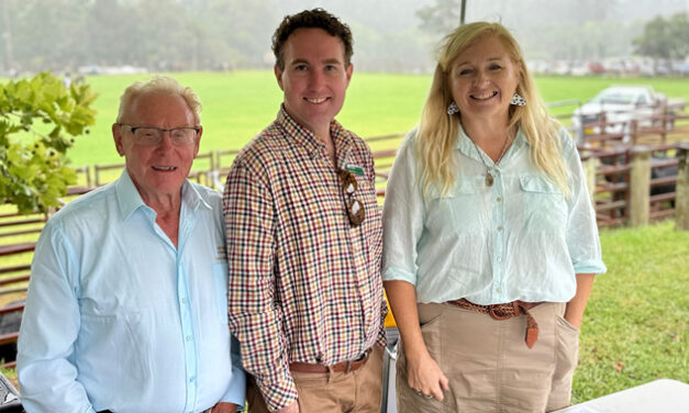 FIGHTING FOR AUSTRALIAN TIMBER